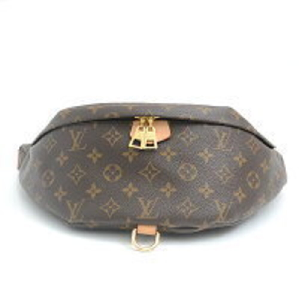 Louis Vuitton Monogram Bum Bag Body